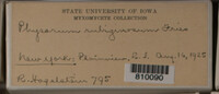 Image Associated With the Occurence